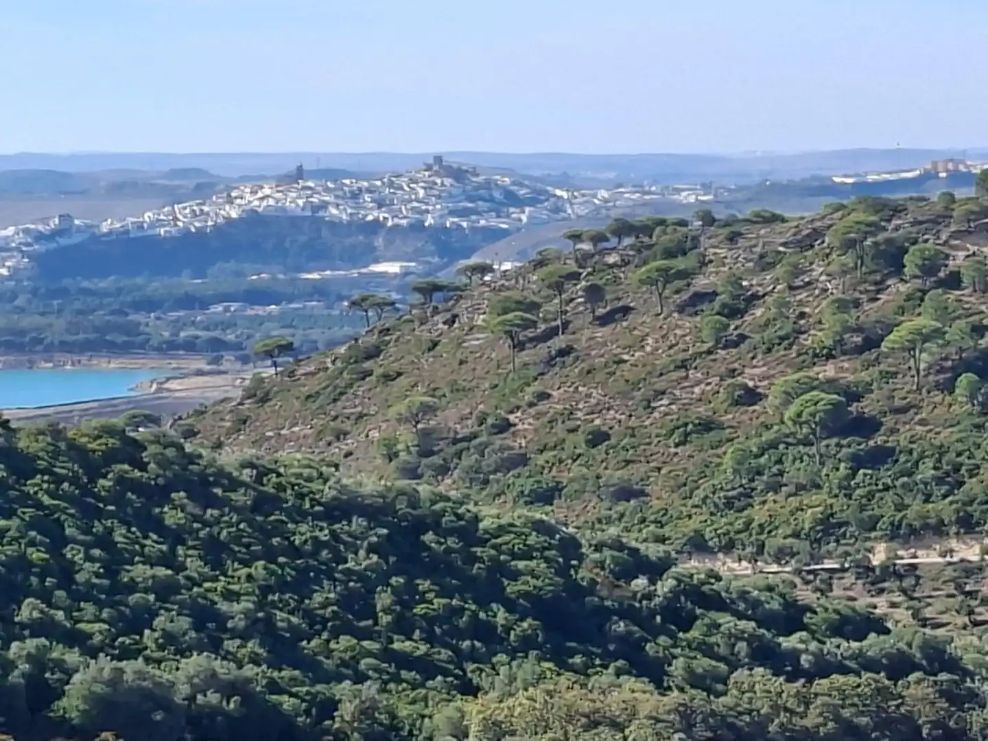 Casa rústica en venda a El Bosque