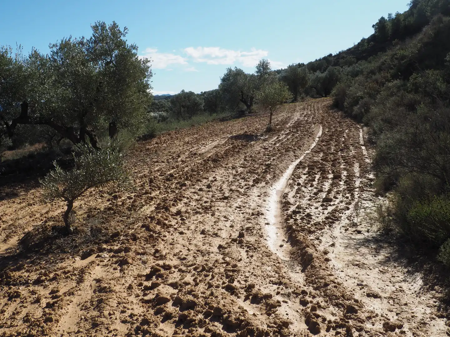 Rustikales Grundstück zum Verkauf in Carretera de Riba-roja, imagen 13