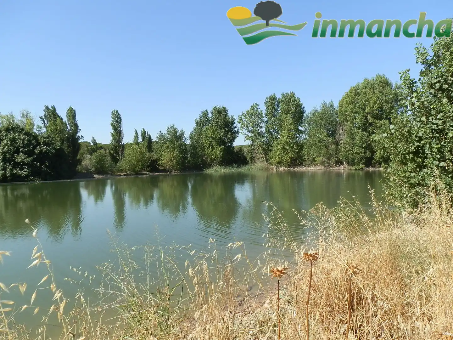 Rural land for sale in La Roda