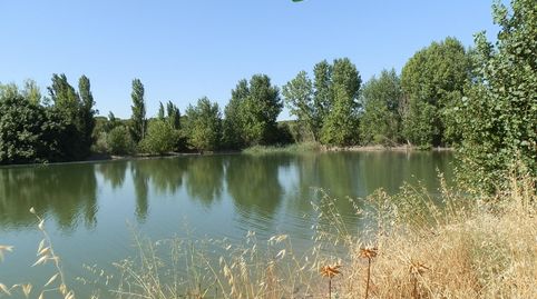 finca en venta 200 has. labor regadío Almendros monte en la Roda (Albacete)