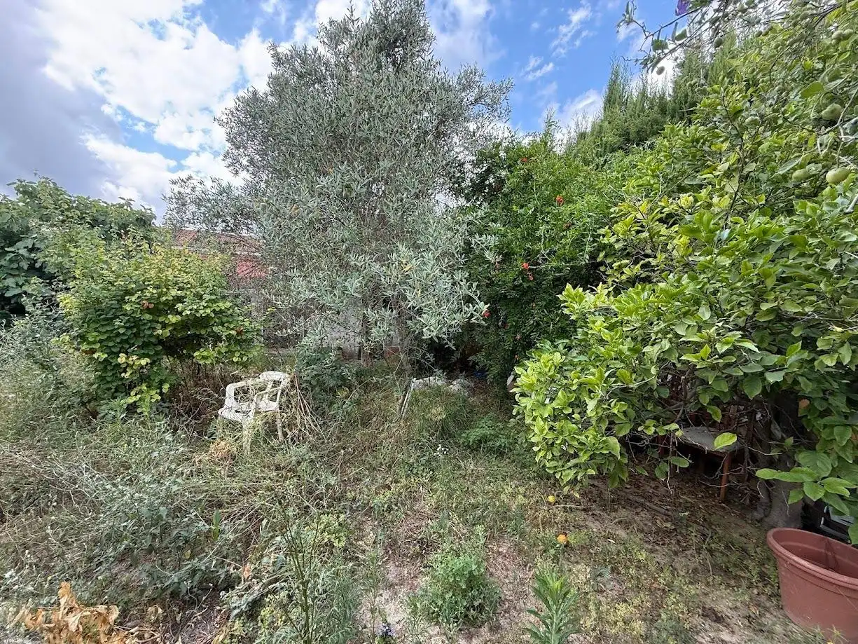 Detached house with pool for sale in Montserrat, imagen 14