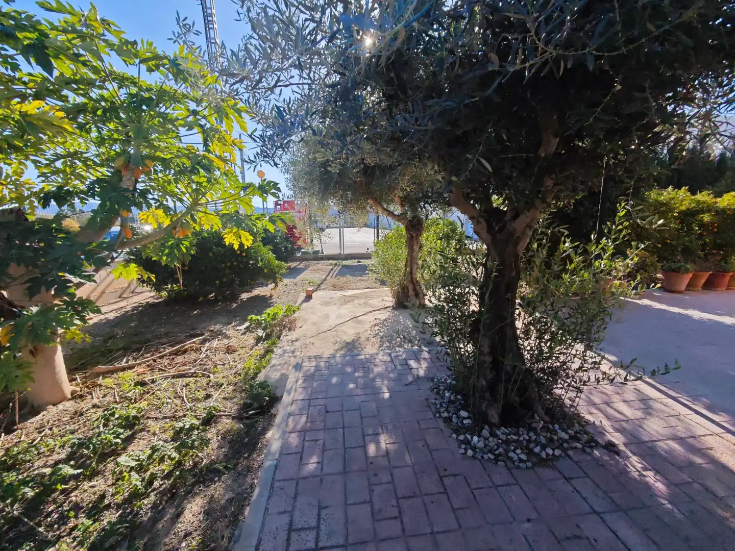 Garden of Houses for sale in Murcia  with Terrace