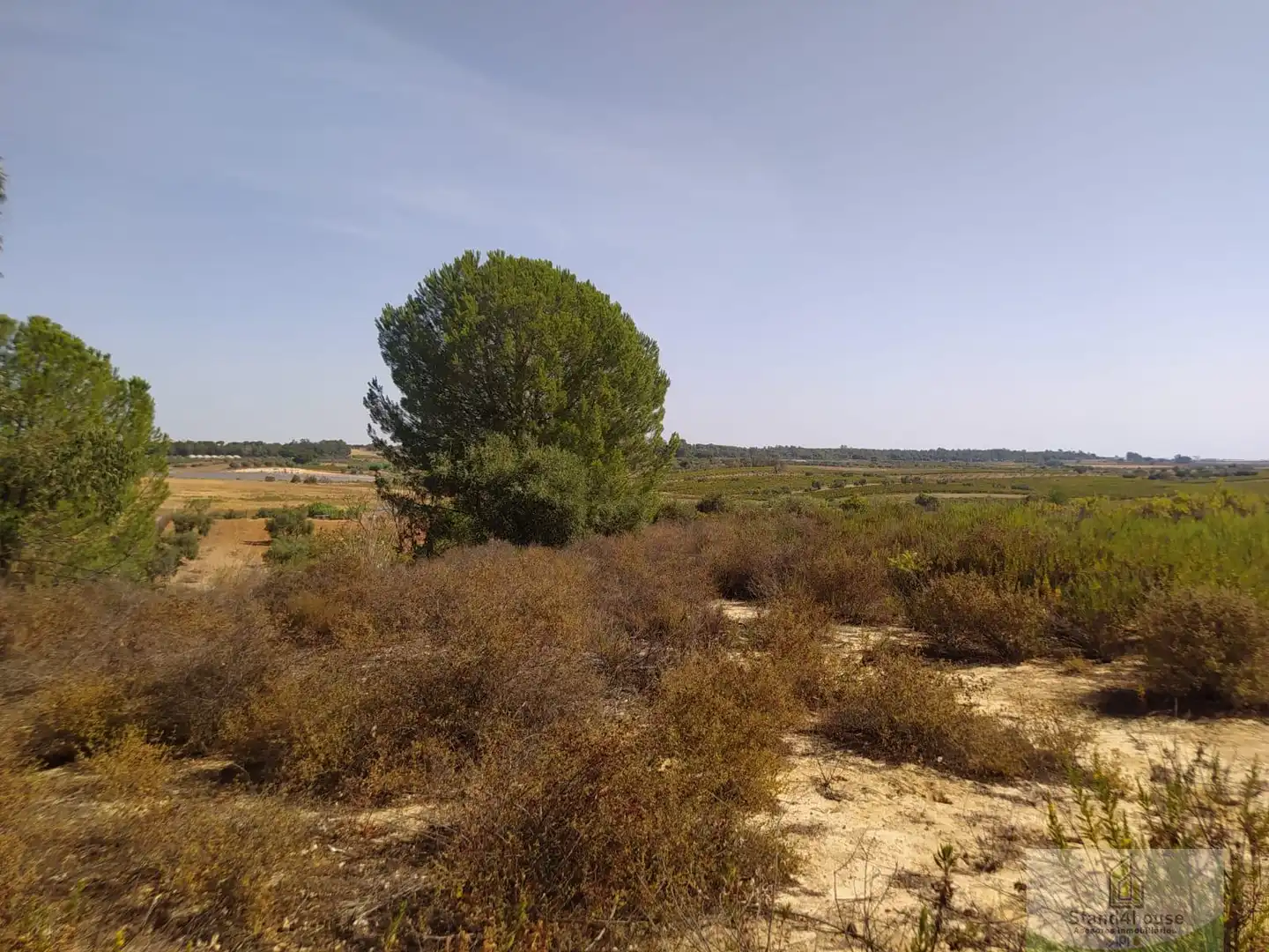 Finca rústica en venda a Villarrasa