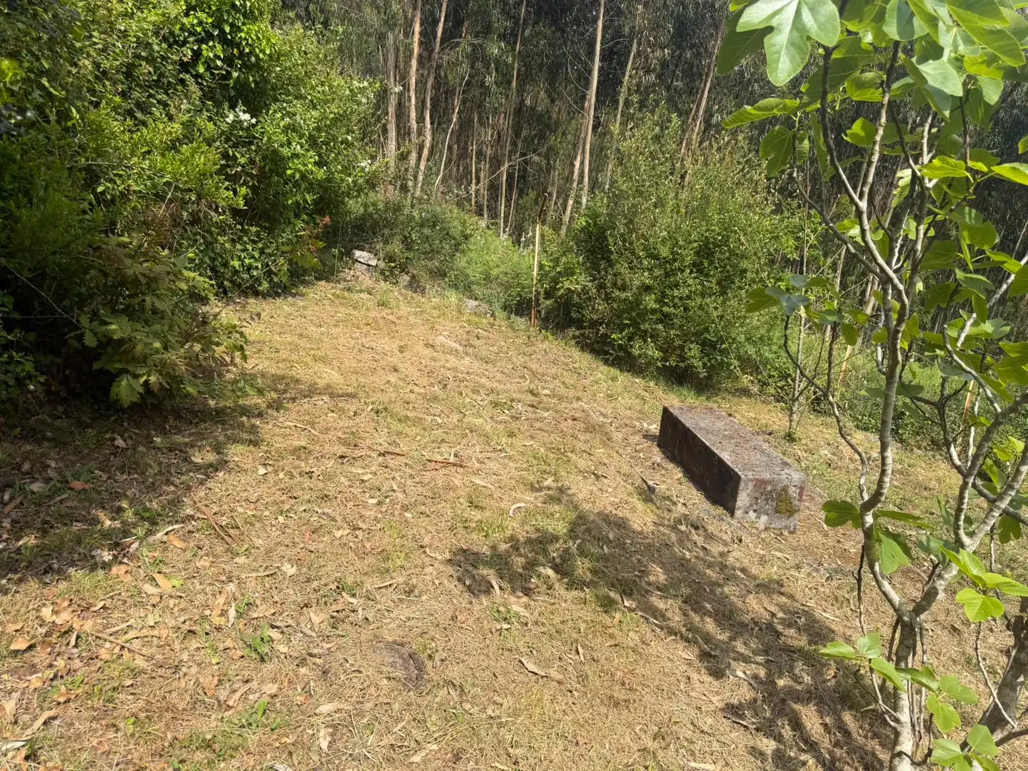 Chalet con jardín en venta en A Malata - Catabois - Ciudad Jardín, imagen 34