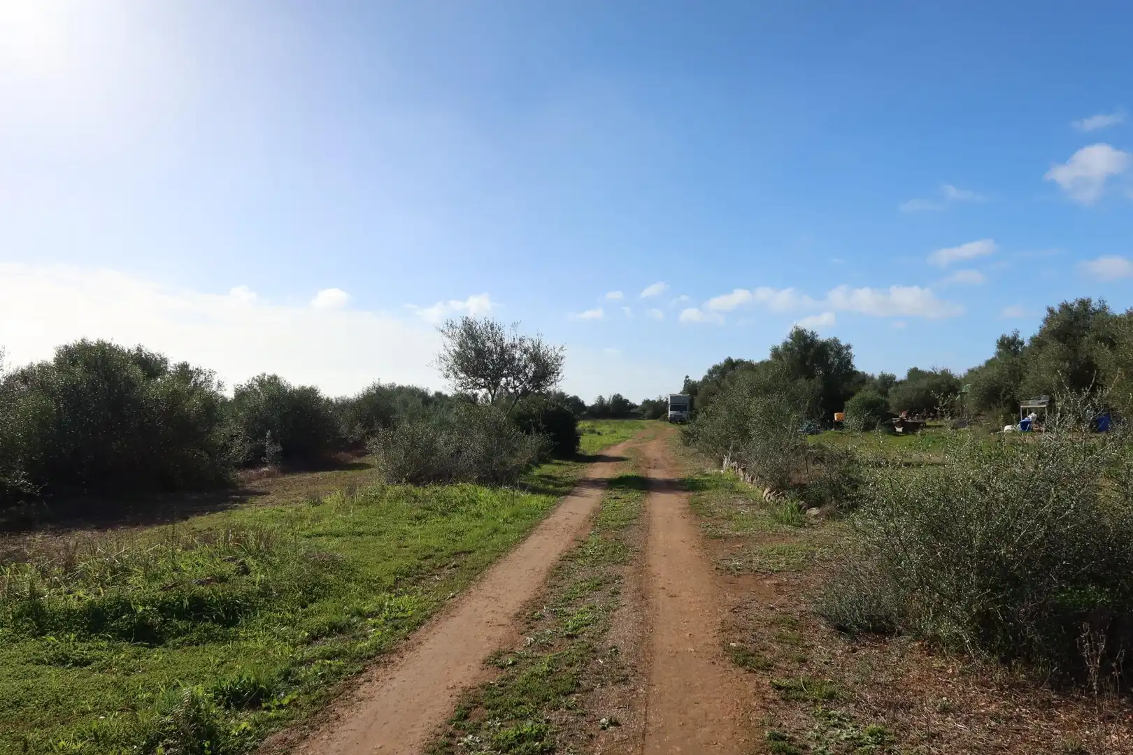 Residential land for sale in Campos poble, imagen 5