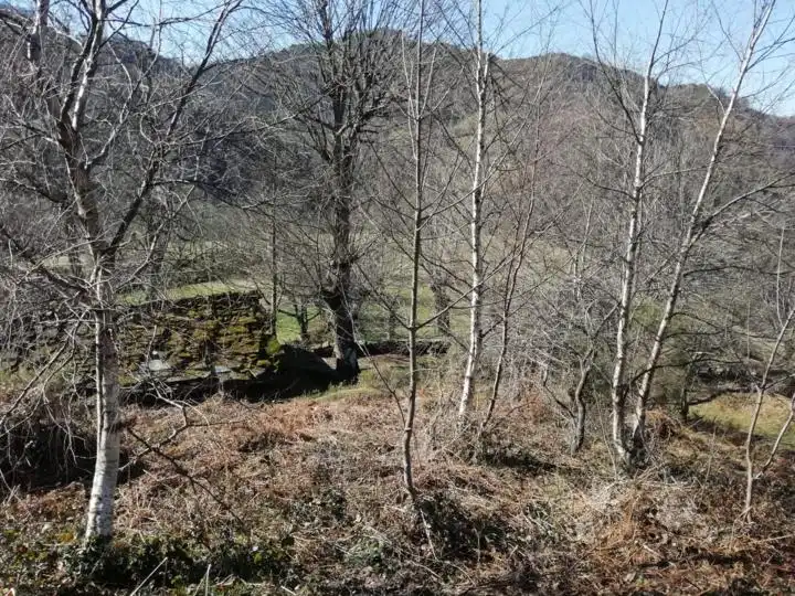 Country house zum Verkauf in Mieres (Asturias)