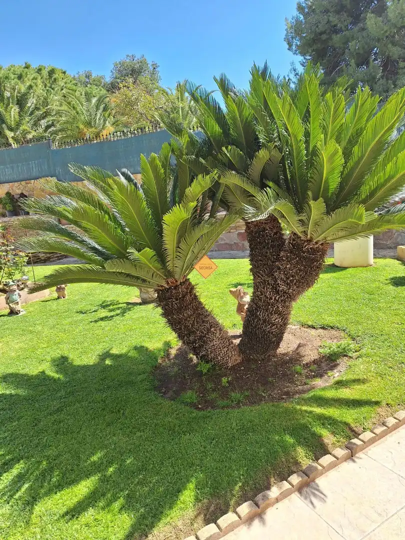 Jardí de Casa o xalet en venda en Paterna amb Aire condicionat, Calefacció i Jardí privat