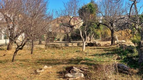 Foto 2 de Finca rústica en venda a Jesús - Els Reguers, Tortosa