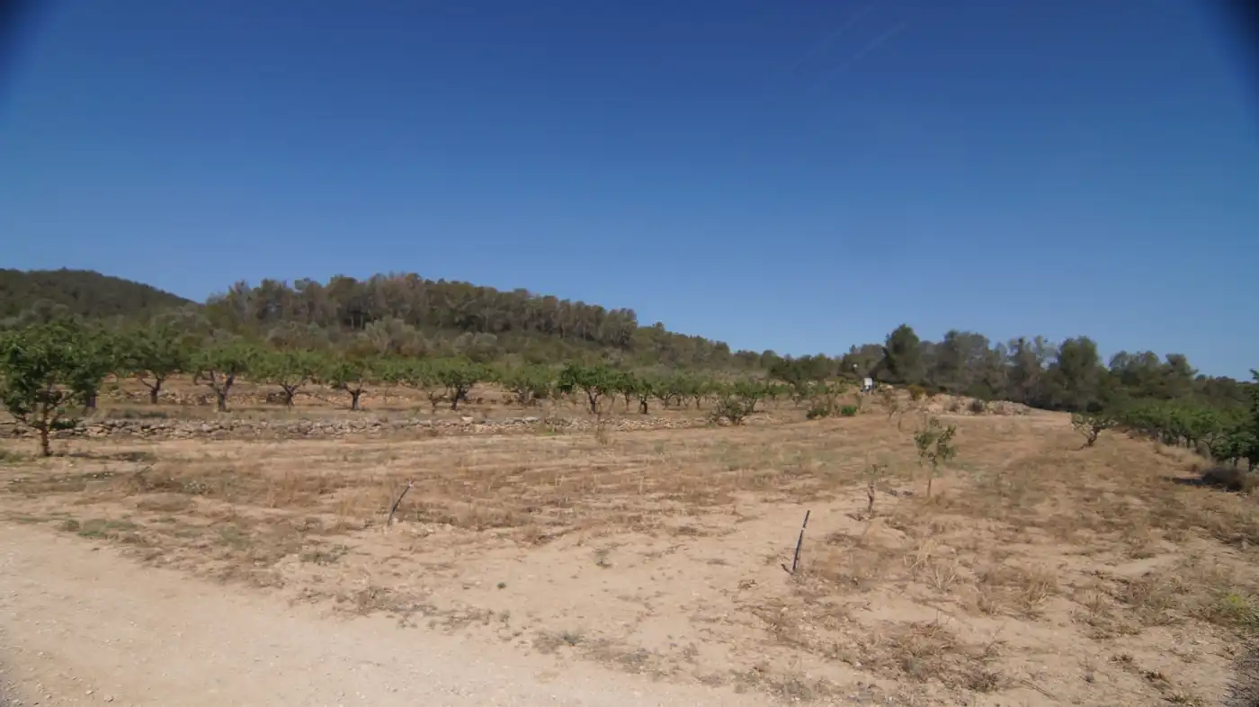 Finca rústica en venda a Miravet