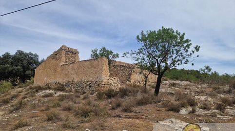 OriaCasa, image 3