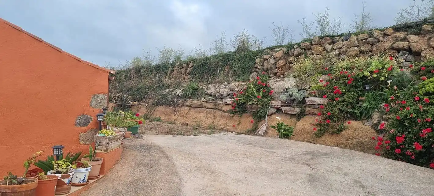 Terreny rústic en venda a San Juan de la Rambla, imagen 6
