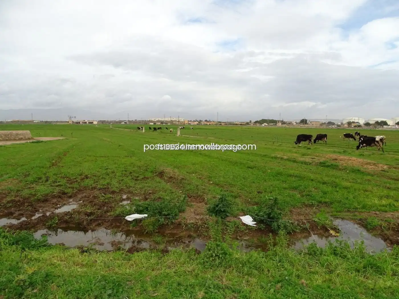 Casa rústica en venta en Llevant, imagen 16