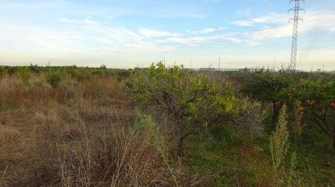 Foto 4 de Terreno en venta en Madrigal, Vila-real