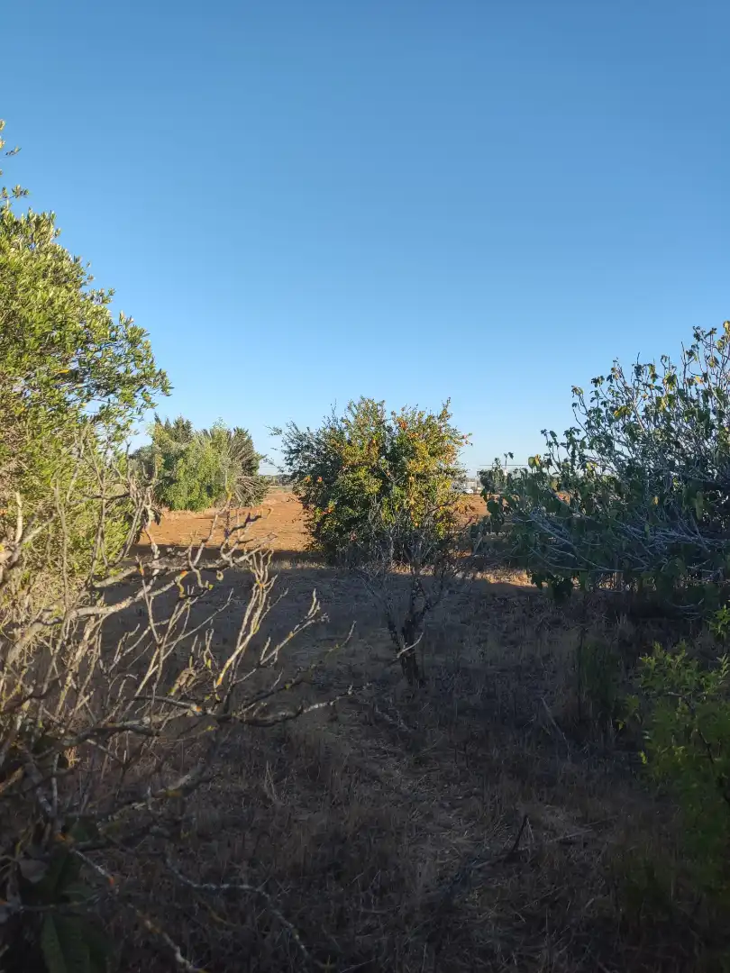 Land for sale in Conil de la Frontera