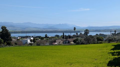 Foto 5 de Casa o chalet en venta en Calle San Jeronimo, Bornos, Cádiz