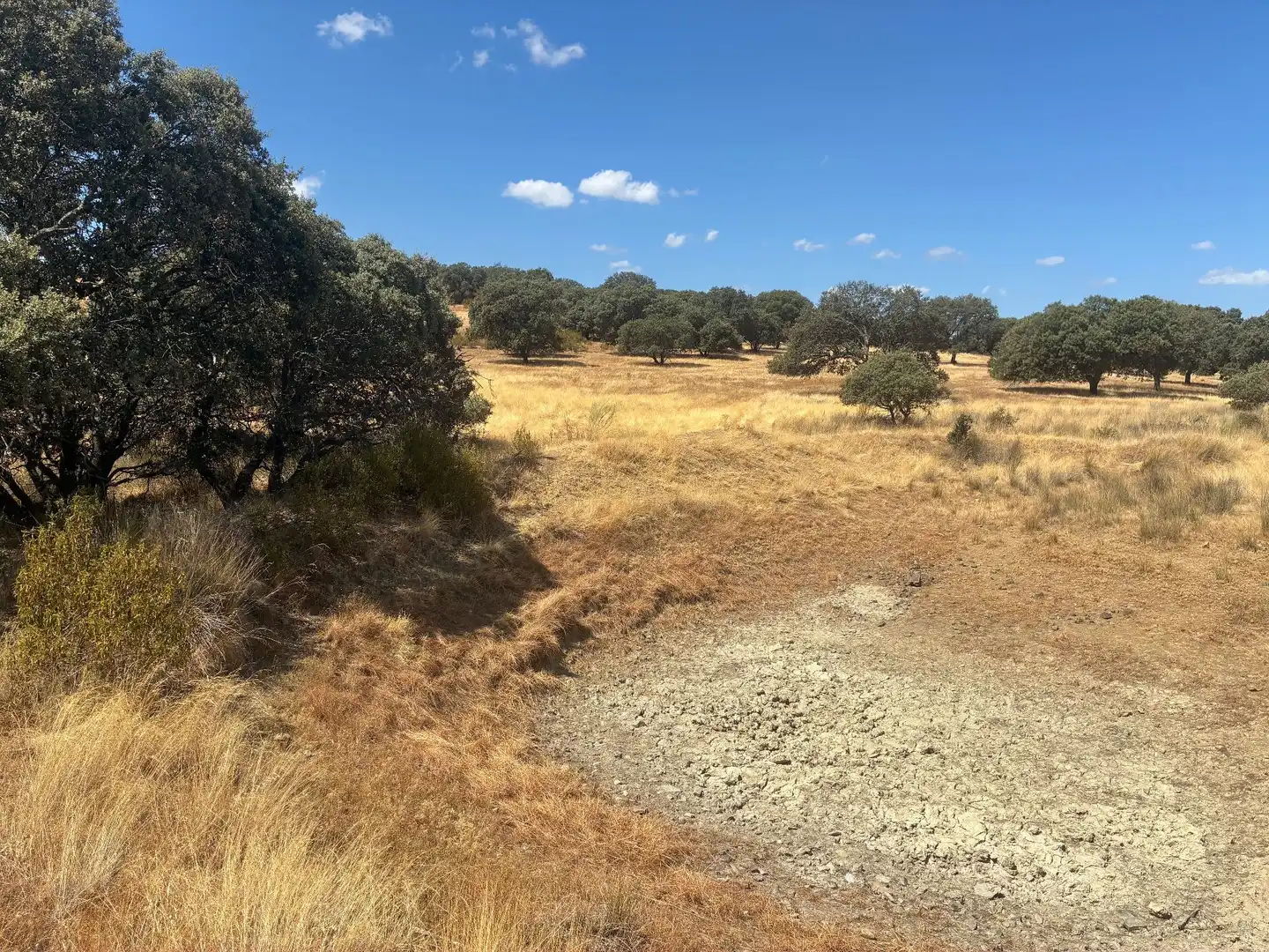 Terreno rustico in vendita a Mohedas de la Jara, imagen 21