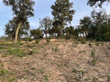 Terreno residenziale in vendita a Montbarbat