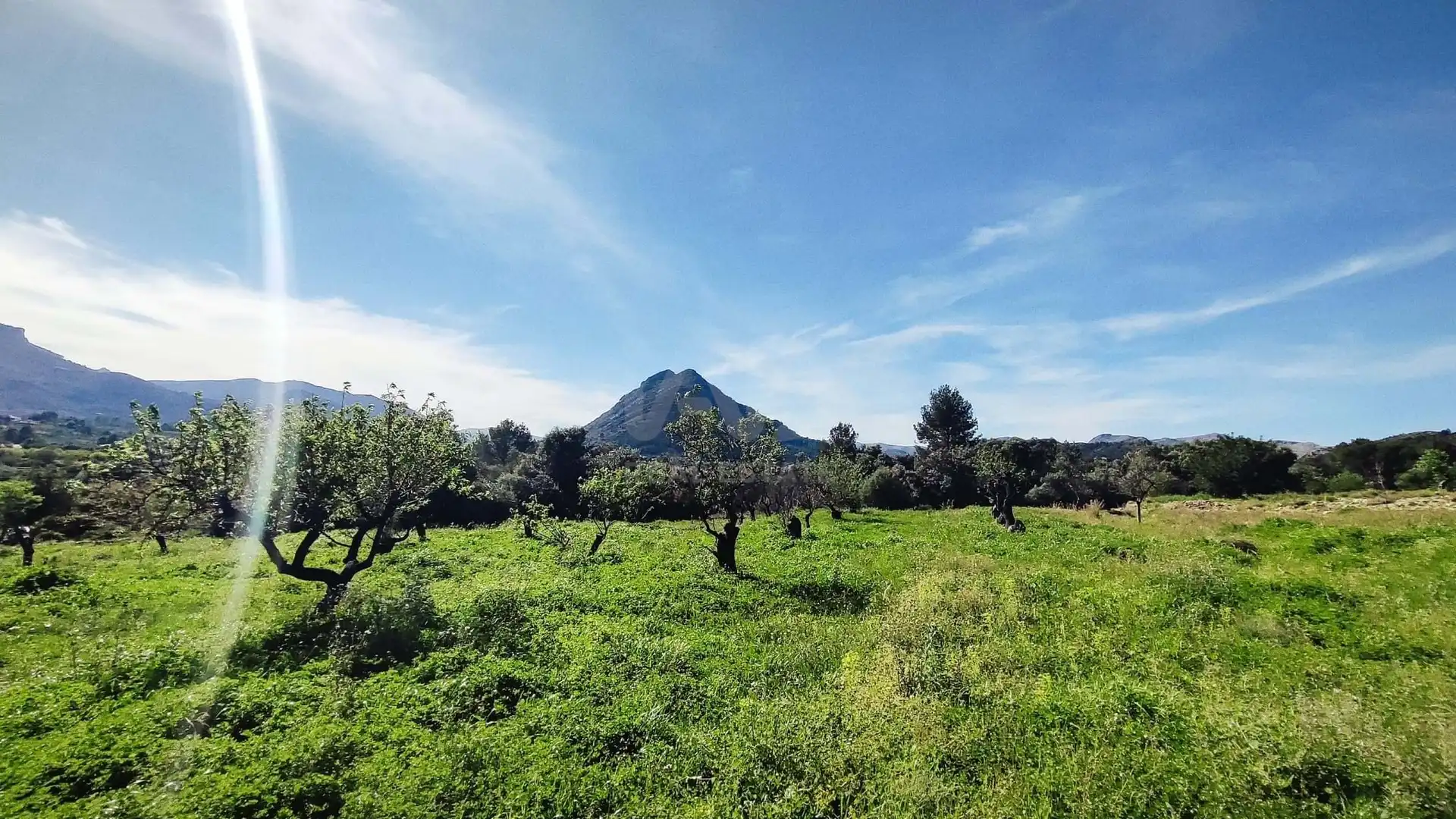 Residential for sale in Murla