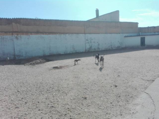 Terreno residencial en Venta en Paseo Ribera en Valdestillas