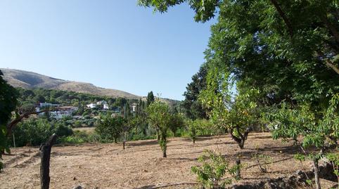 Foto 5 de Casa o xalet en venda a Centro, Alhaurín El Grande