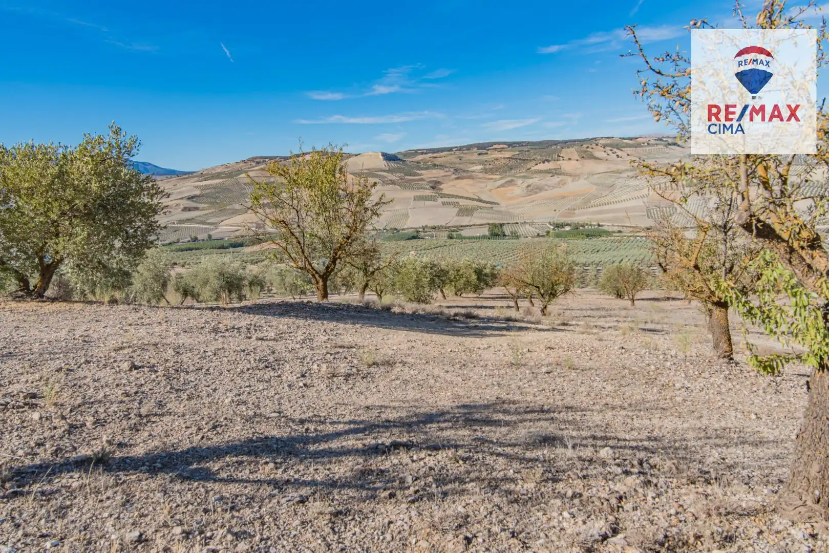 Terreno en venta en Santa Cruz del Comercio