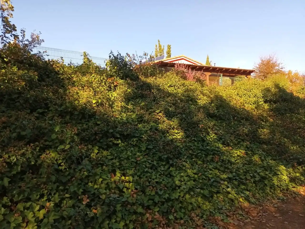 Country homes for sale in Entrena