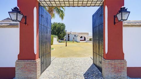 CORTIJO TARQUINAL