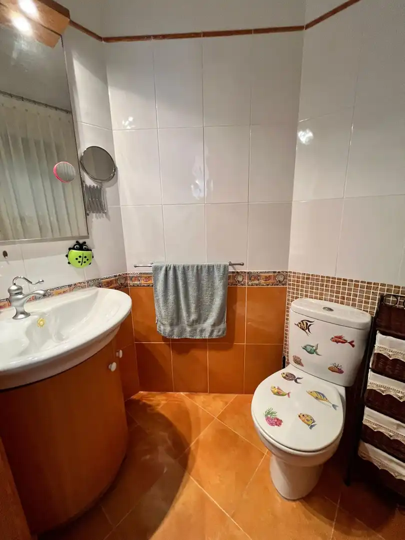 House with terrace for sale in Calle RUGGERO GASPARET, imagen 6