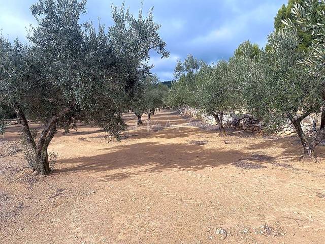 Terreno en Venta en Comes en El Perelló