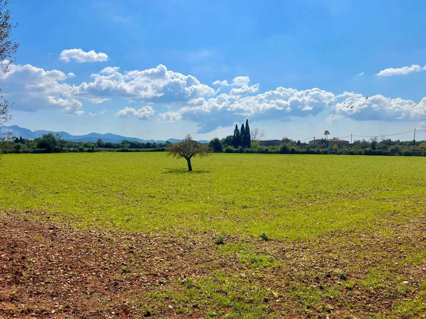 Terreny residencial en venda a Porreres, imagen 4