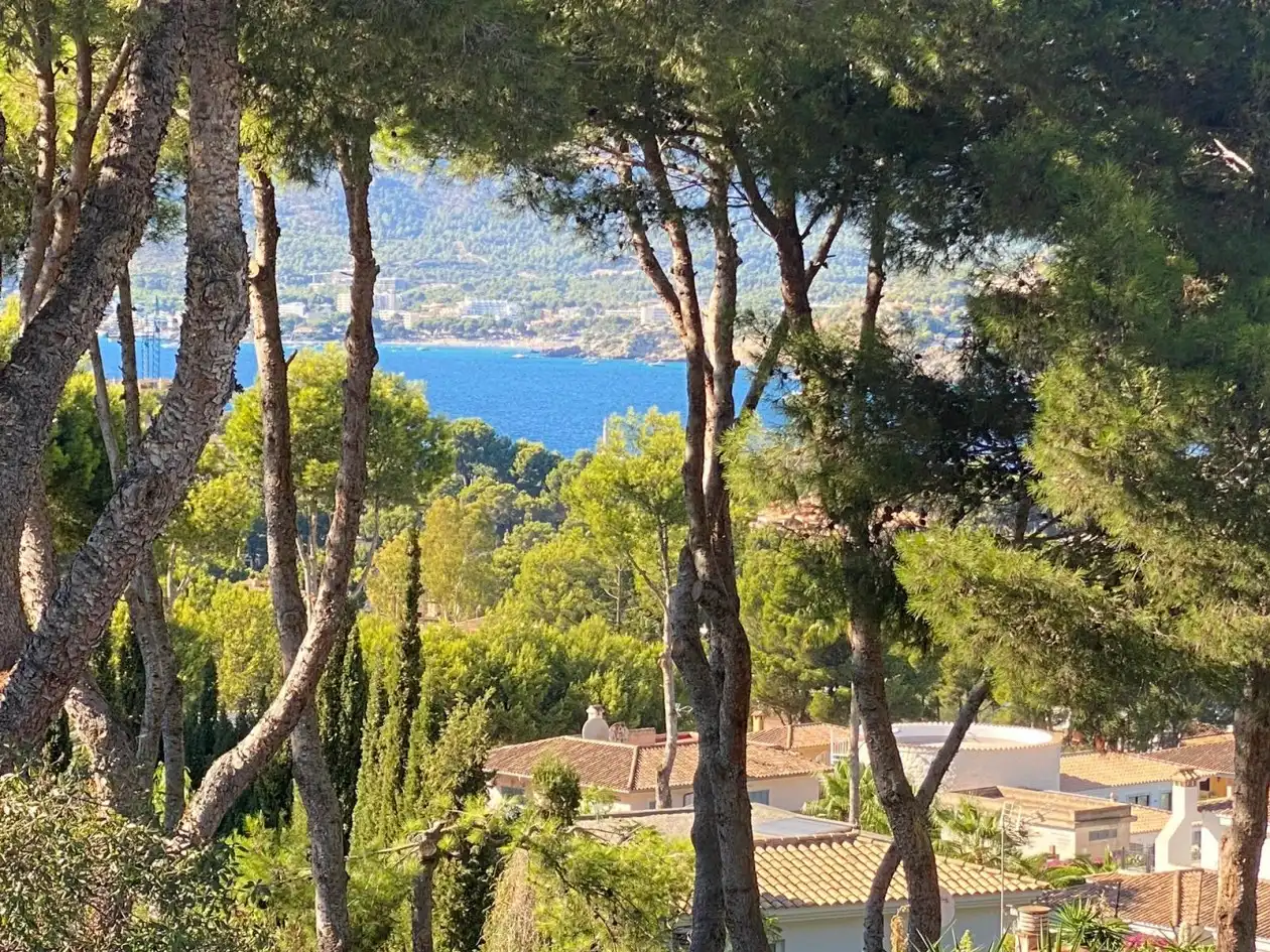 Exterior view of Houses for sale in Calvià