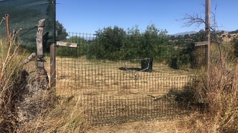 Finca rústica en Cenicientos, imagen 4