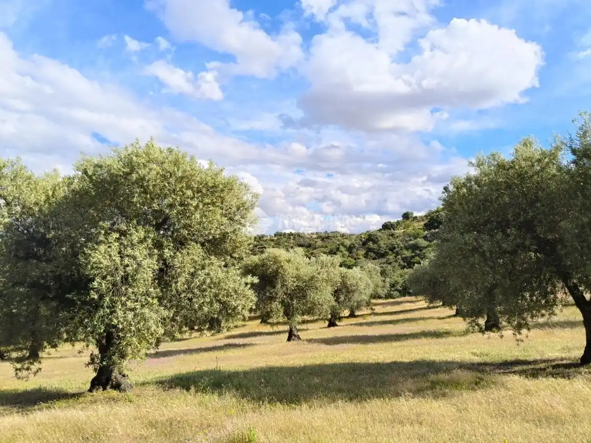 Finca rústica en venda en San Martín de Pusa amb Moblat i Balcó