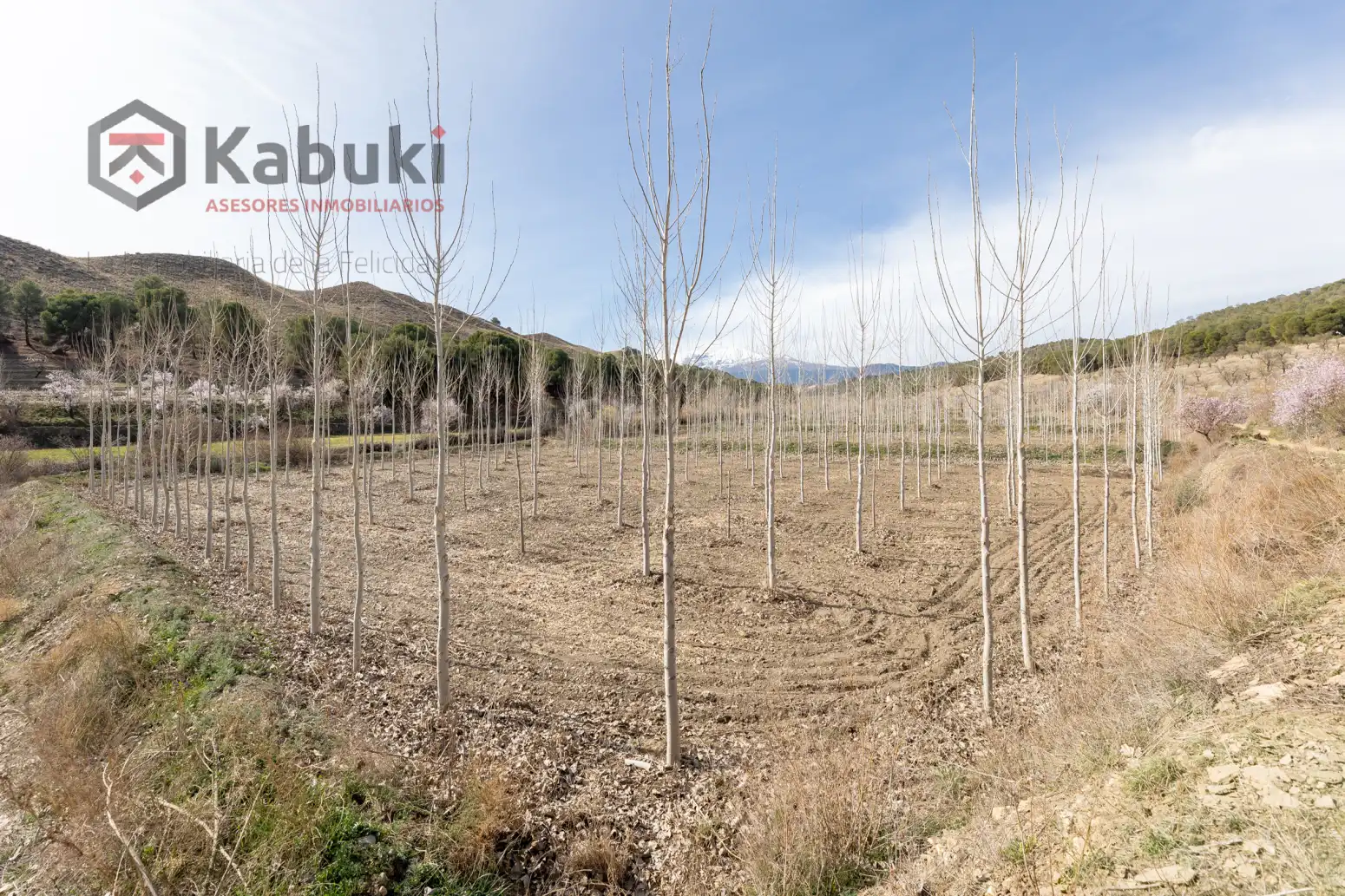 Terreni e lotti in vendita a Guadix - AUTE. VALLE DEL ZALABI, imagen 11