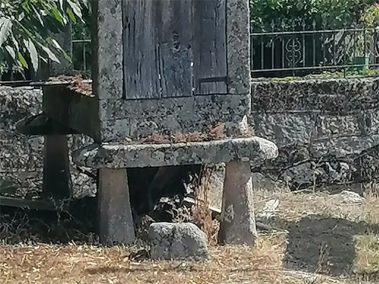 Jardí de Casa adosada en venda en Coles