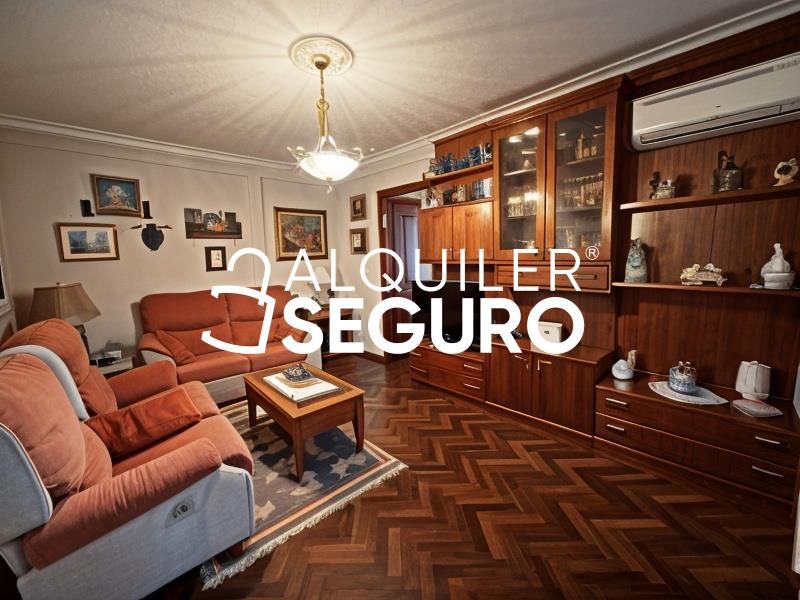 Living room of Flat to rent in  Madrid Capital  with Air Conditioner, Heating and Terrace