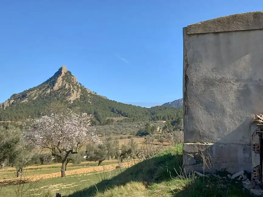 Rural land for sale in Carrer de Freginals 0, imagen 12