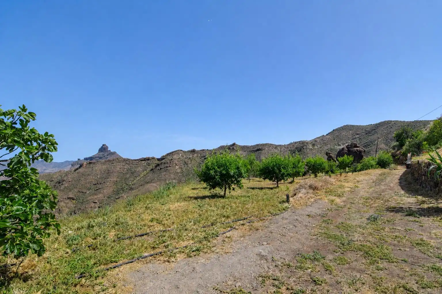 Finca rústica en venta en Tejeda con Terraza