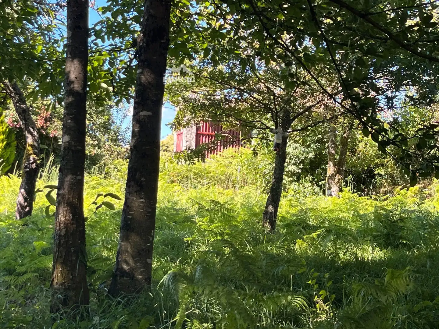 Jardín de Casa o chalet en venta en Piñor con Trastero y Amueblado