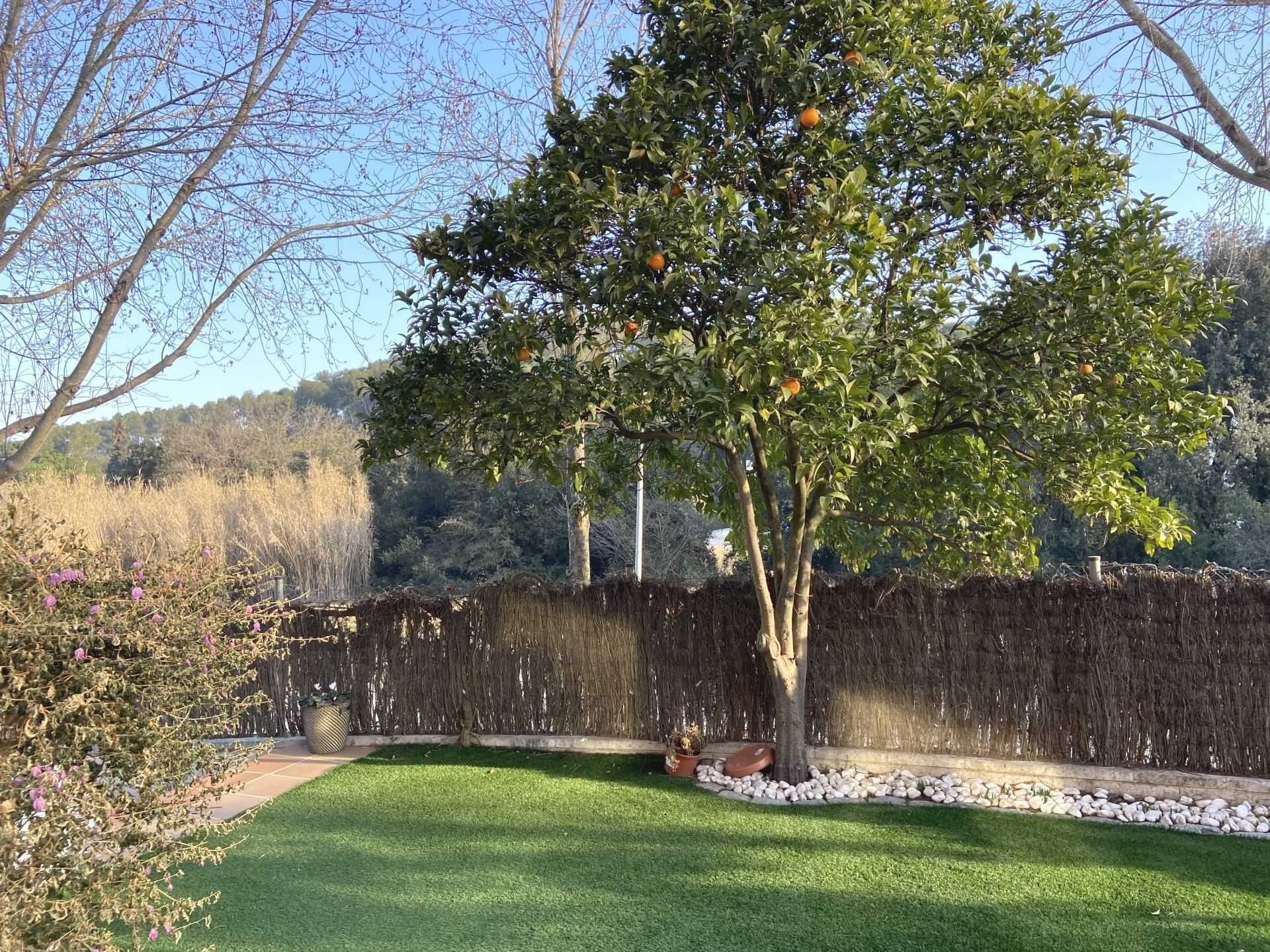 Jardí de Casa adosada de lloguer en Sant Cugat del Vallès amb Calefacció, Terrassa i Traster