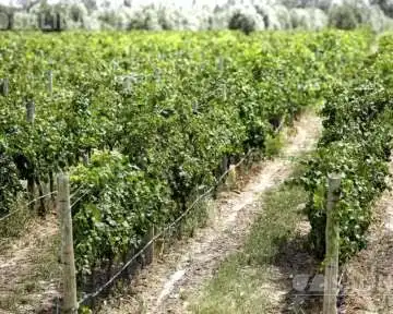 Terreni e lotti in vendita a Tarancón, imagen 4