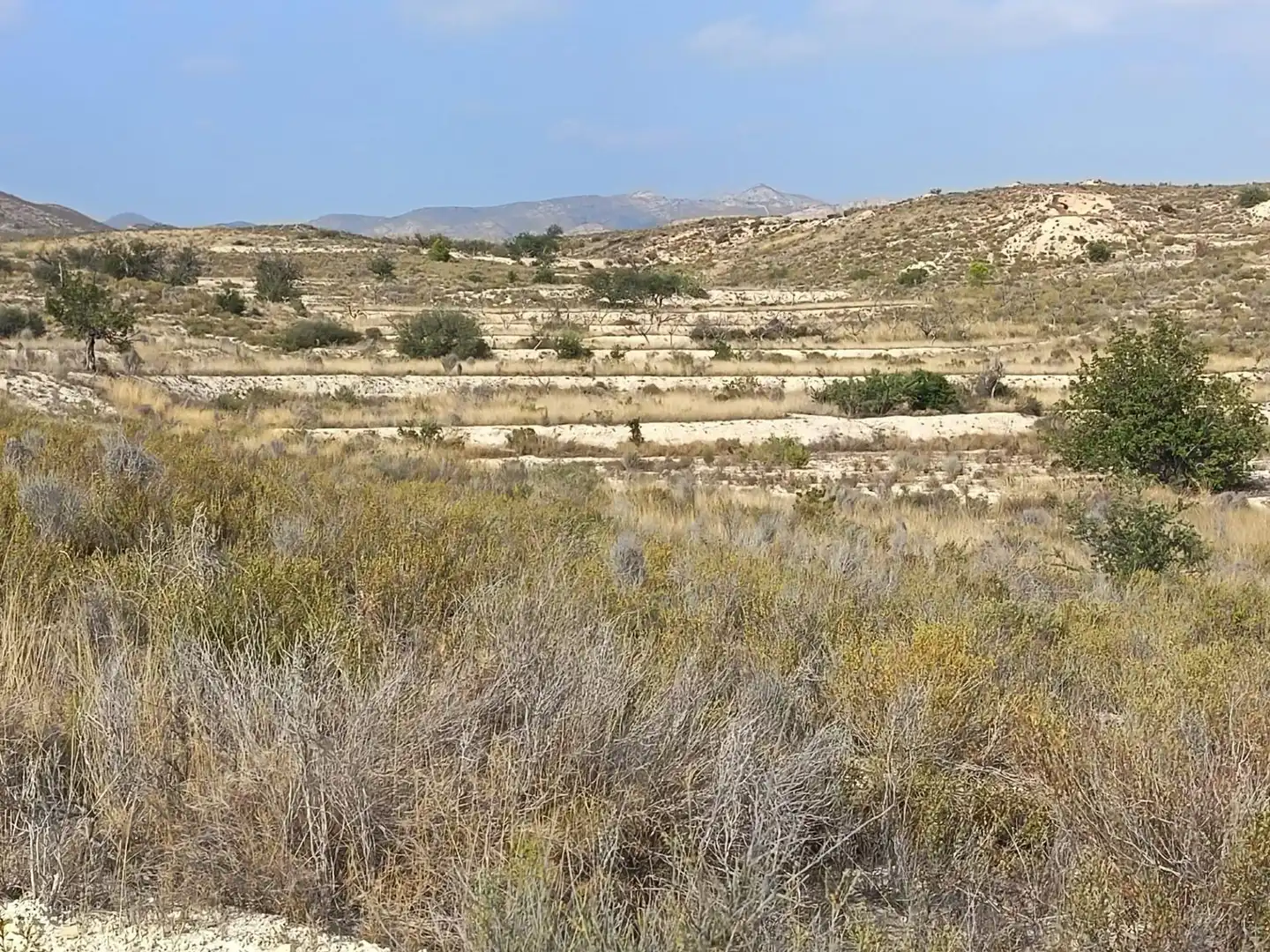 Residencial en venda en Alicante / Alacant