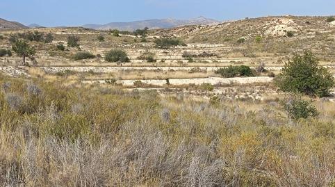 Foto 3 de Residencial en venda a Moralet, Alicante / Alacant