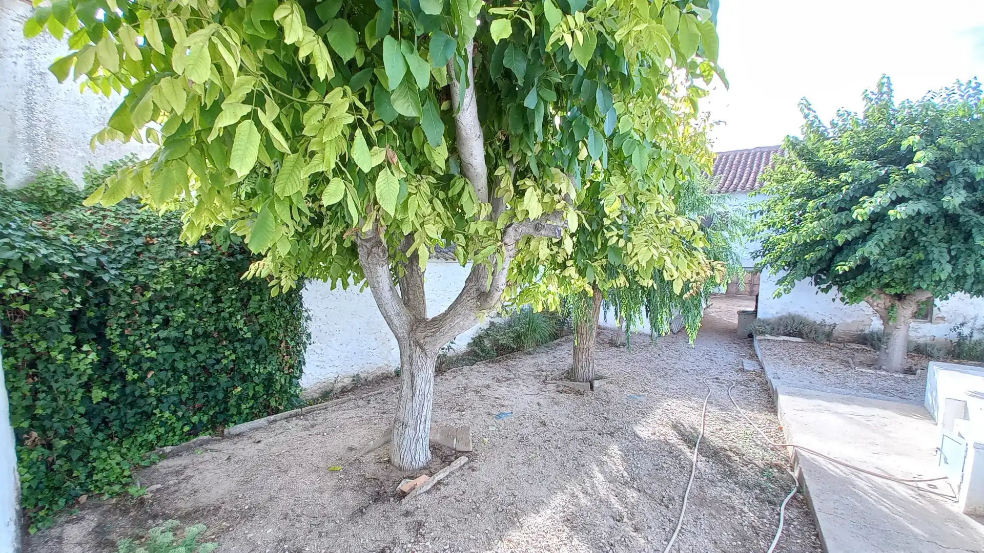 Jardí de Finca rústica en venda en Albacete amb Jardí privat, Traster i Piscina