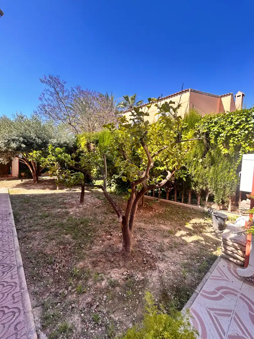 Jardín de Casa o chalet en venta en Elche / Elx con Aire acondicionado, Jardín privado y Terraza