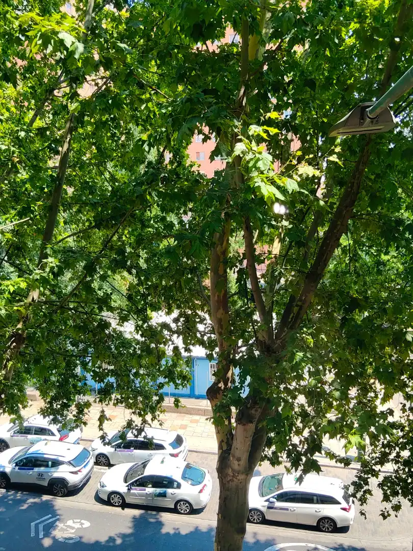 Flat with terrace for sale in Avenida Ramón y Cajal, imagen 42