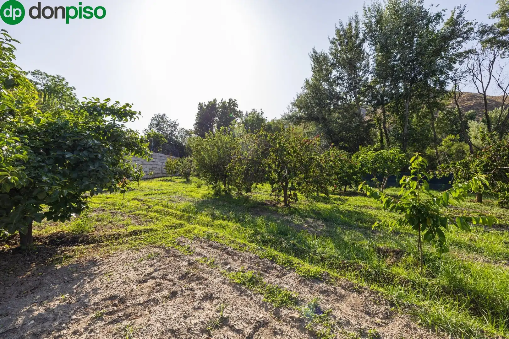 Terreno en venta en Paseo Paseo Duquesa, Pinos Genil