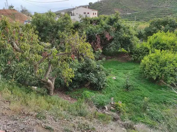 Terreno con Limoneros en Benamargosa, imagen 5
