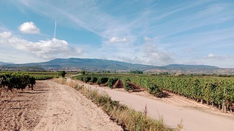 Foto 3 de Finca rústica en venta en N/a, Entrena, La Rioja