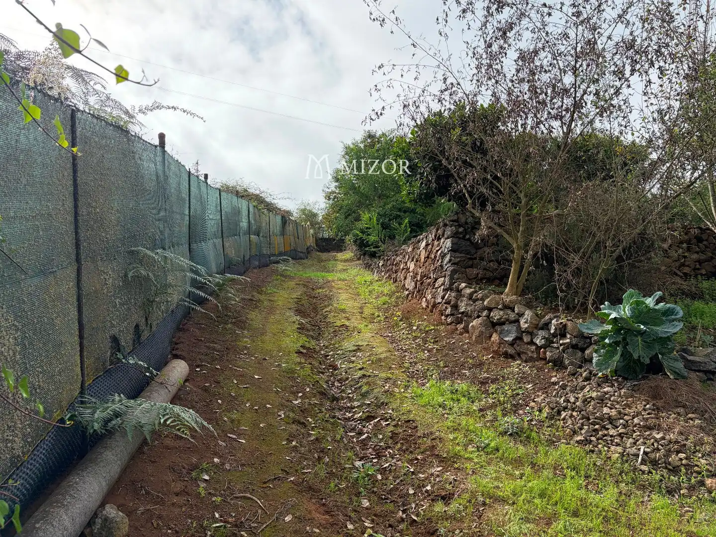Rural land for sale in el rodeo, imagen 29